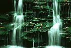 Moss Waterfall (54K)