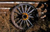 Autumn Wagon Wheel work2