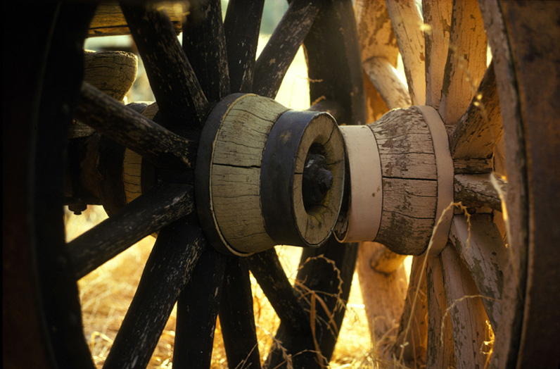 Wagon wheels  copy2