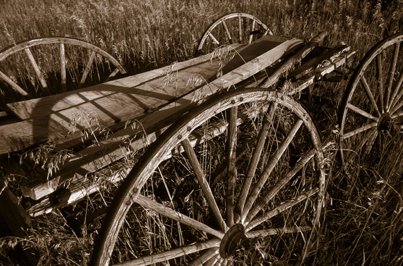 Wagon buckboard #2 sepia2