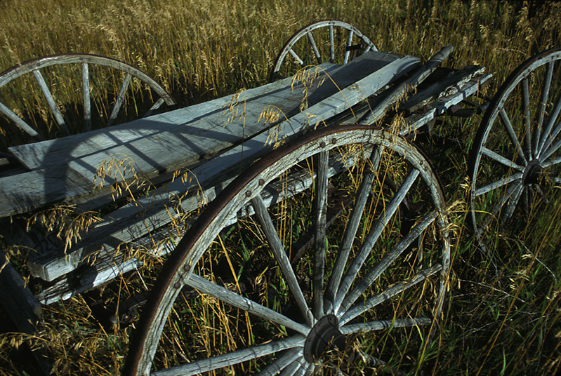 Wagon buckboard work #2-2