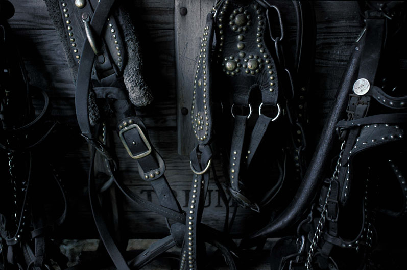 tack.jpg (86253 bytes)