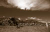 Open space ruin sepia 2