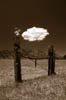Open Space cloud sepia #2-2