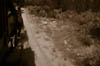 Stage Coach sepia 2