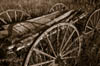 Wagon buckboard #2 sepia2